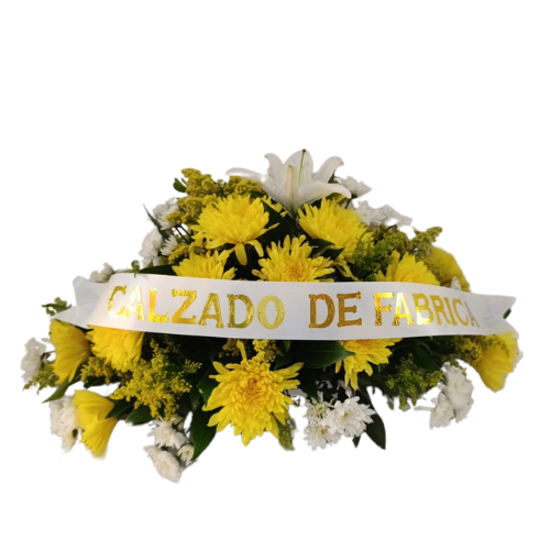 Fúnebres # VI72