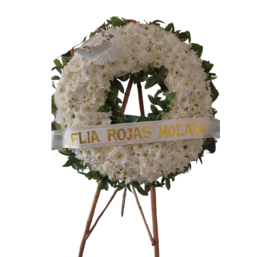 Dirección funeraria los olivos en Villavicencio