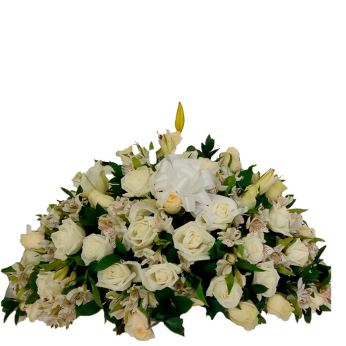 Fúnebre VI12