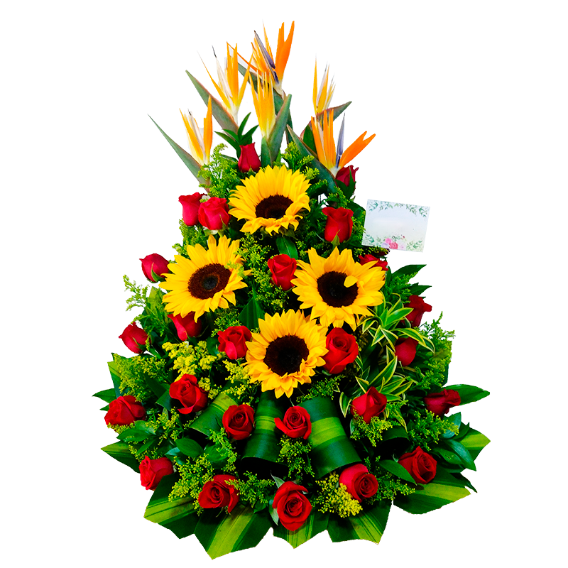 Flores a domicilio en Villavicencio