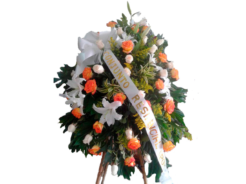 Fúnebre VI25